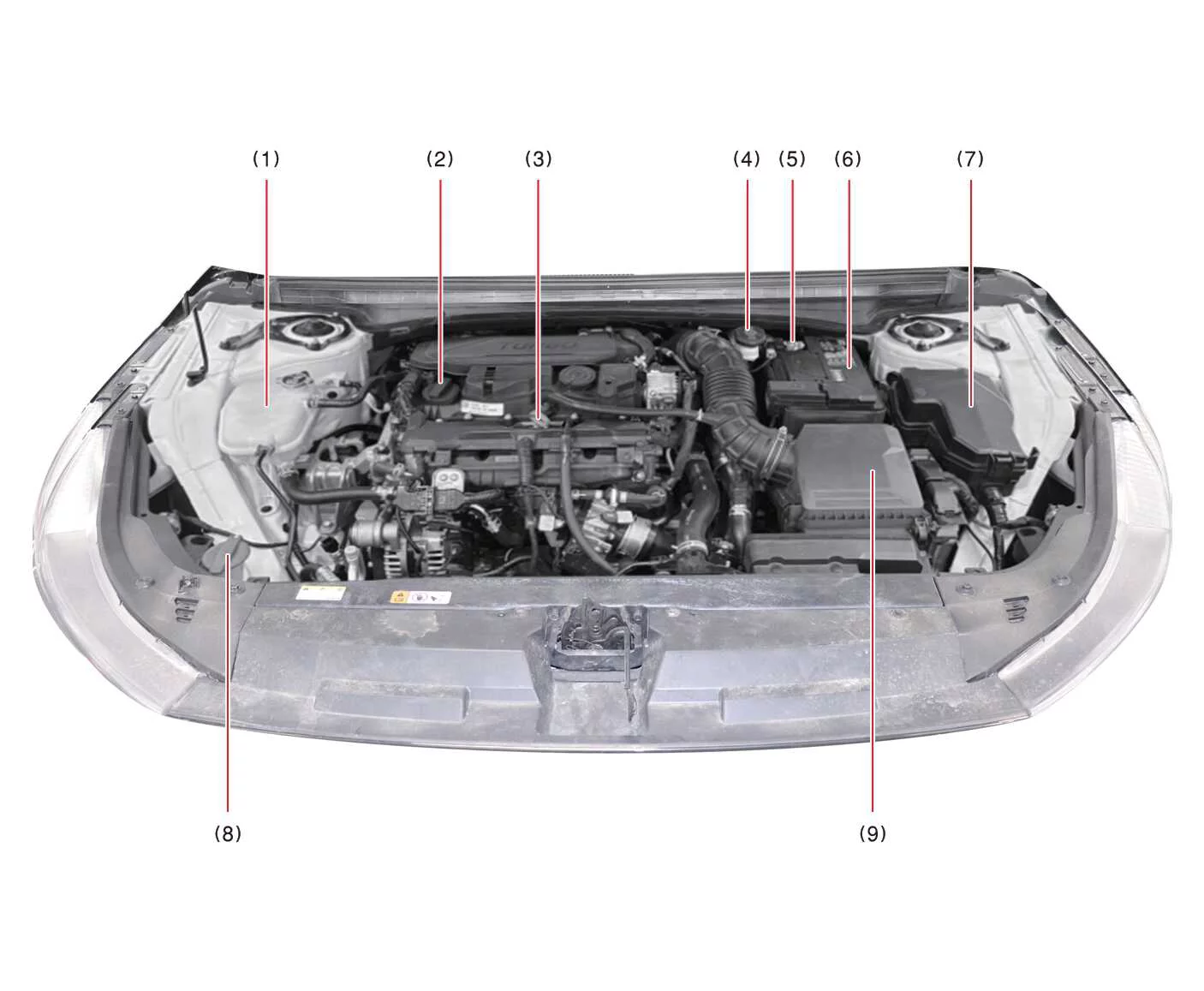 Technical diagram detailing the component locations for the turbocharged Kia K4 Smartstream G1.6 T-GDi engine bay architecture